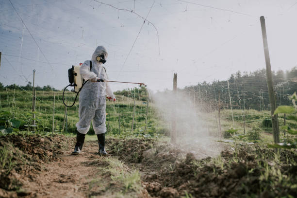 Pest Control Cost in Zebulon, GA