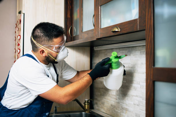 Best Mosquito Control Services  in Zebulon, GA