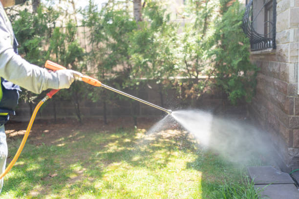 Best Rodent Control Near Me  in Zebulon, GA