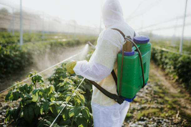 Best Local Pest Control Services  in Zebulon, GA